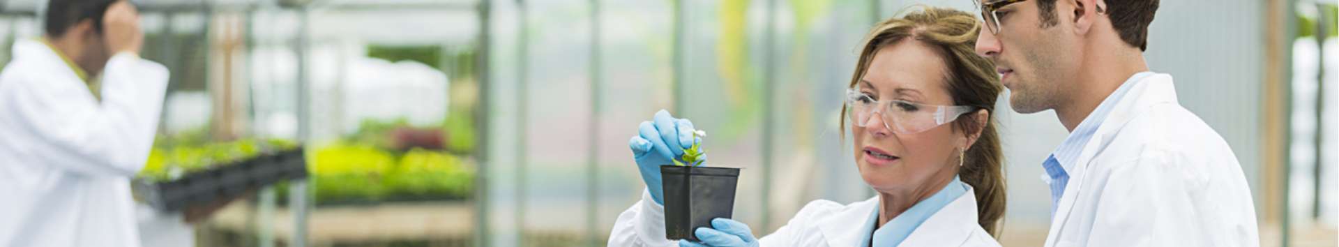 Agricultural Sciences